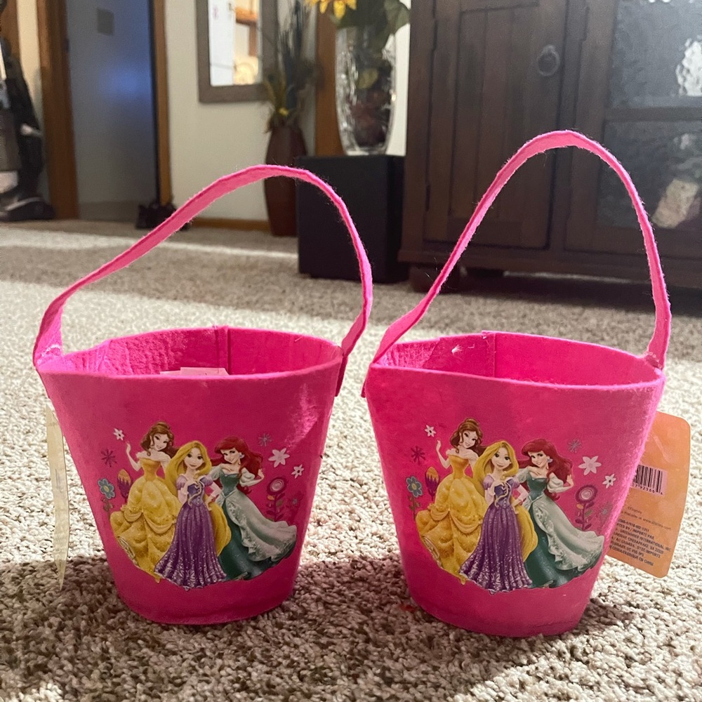Disney Pink Princess Buckets
